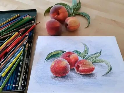 Цветные карандаши начинающим