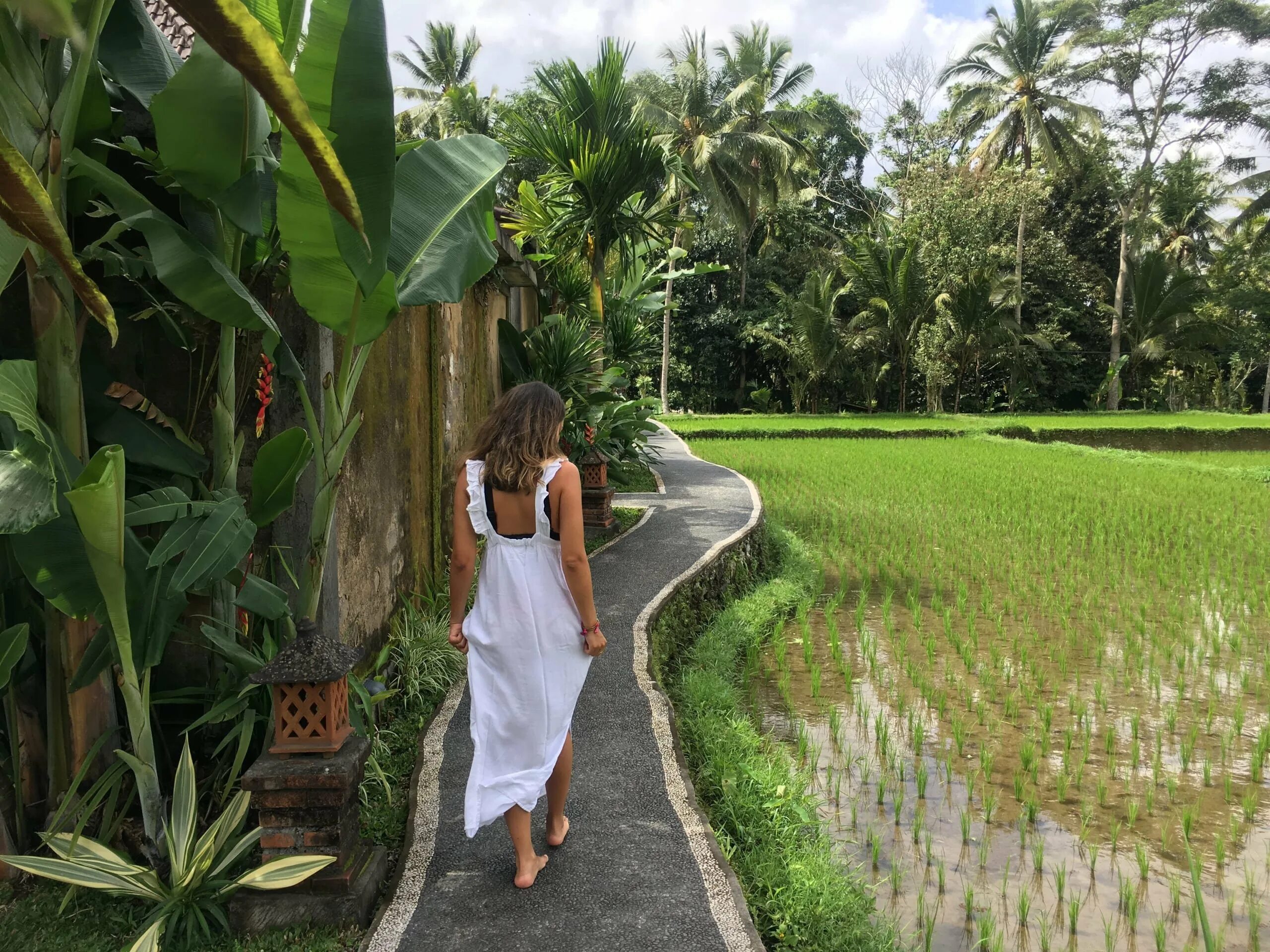 Бали (остров в малайском архипелаге). Parq Ubud Бали. Росшоные Бали.