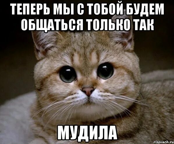 Привет будем общаться. Так много пидрил и так мало патронов. Так много пидрил. Мем я с тобой не общаюсь. Теперь будем так общаться.