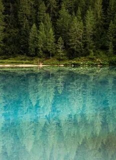 Great nature