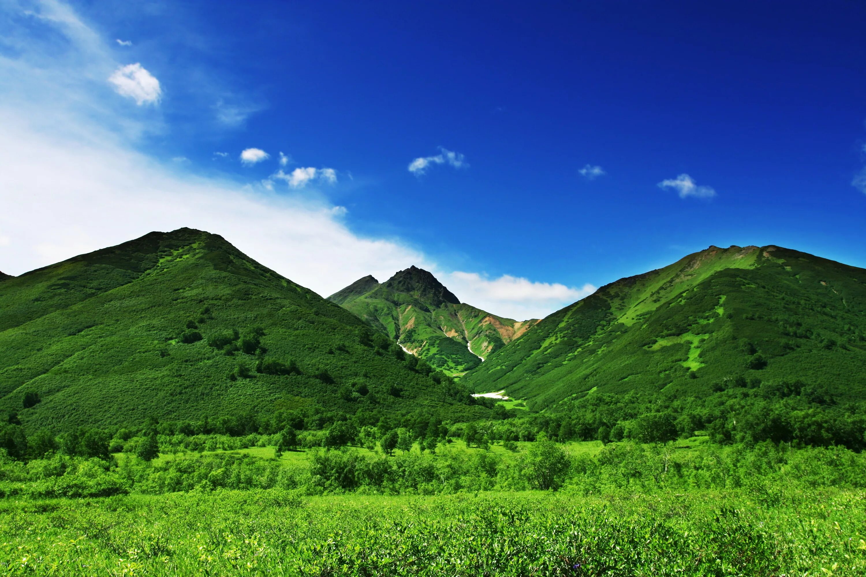 Грин Маунтинс хребет. Green Hills зеленые холмы. Бештау. Green Hills Туапсе.