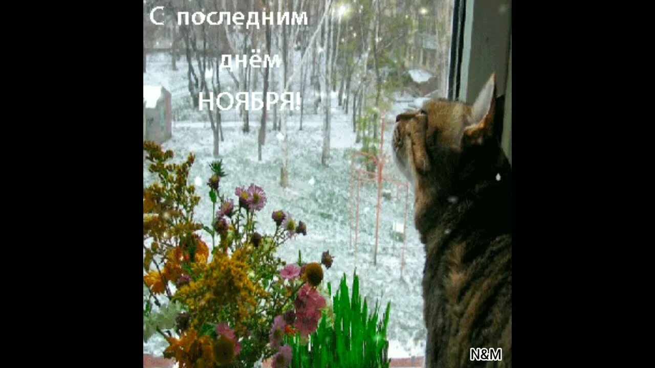 Доброе утро уходящего года видео. С последним днем ноября. с последними днями уходящего ноября. с последним вторником уходящего года. с последними днями уходящей зимы.