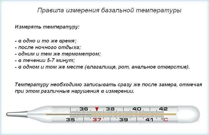 Температура 38 2 триместр. Как правильно измерять температуру градусником. базальная температура как правильно измерять для определения. как правильно мерить базальную температуру. как мерять базальная температура.