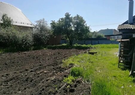 Погода фруктовая луховицкий