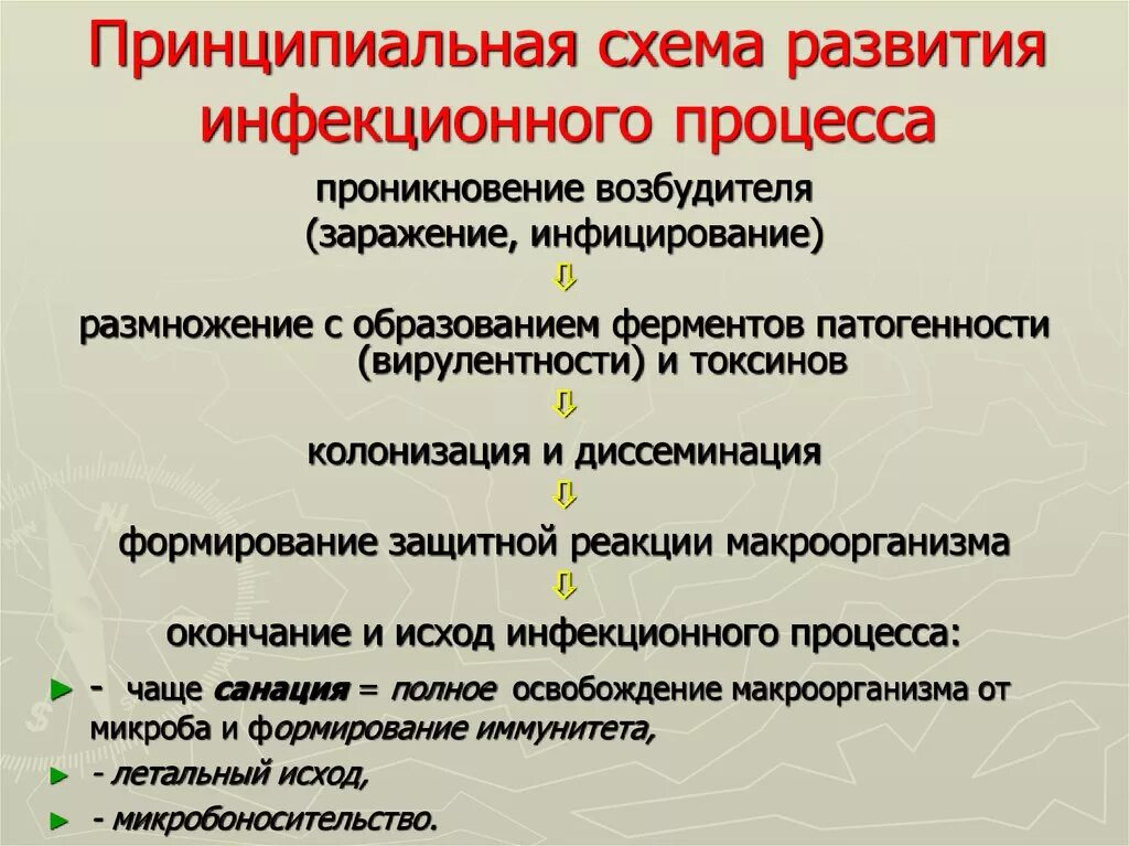 Принципиальная схема развития инфекционного процесса.. Инфекционный процесс стадии инфекционного процесса. Динамика инфекционного процесса. Условия развития инфекционного процесса. Последовательность развития инфекционного заболевания