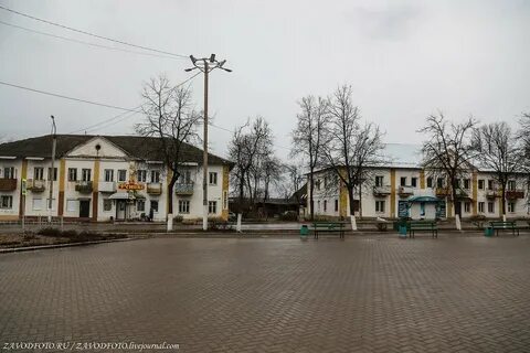 Население кольчугино