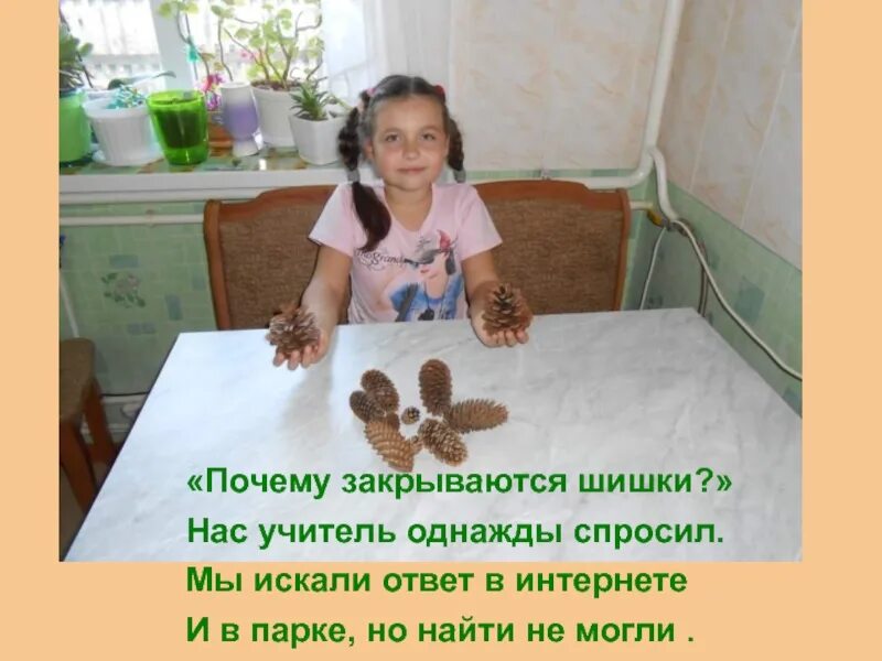Почему закрыли второй второй