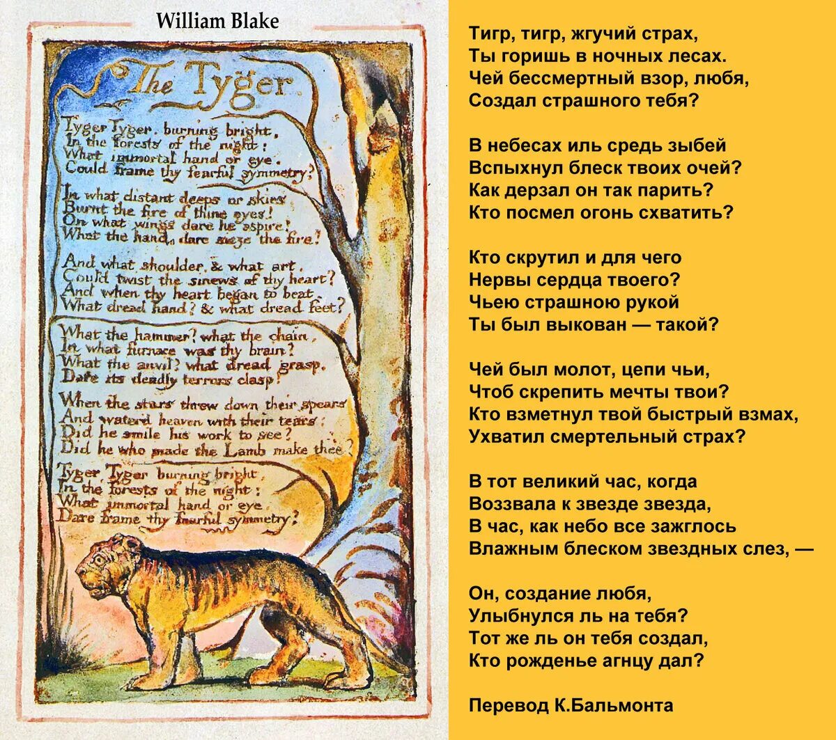 Стихотворение Уильяма Блейка тигр тигр. Уильям Блейк тигр стих. Уильям Блейк стихи тигр тигр жгучий страх. Уильям Блейк стихи. Тигр притча