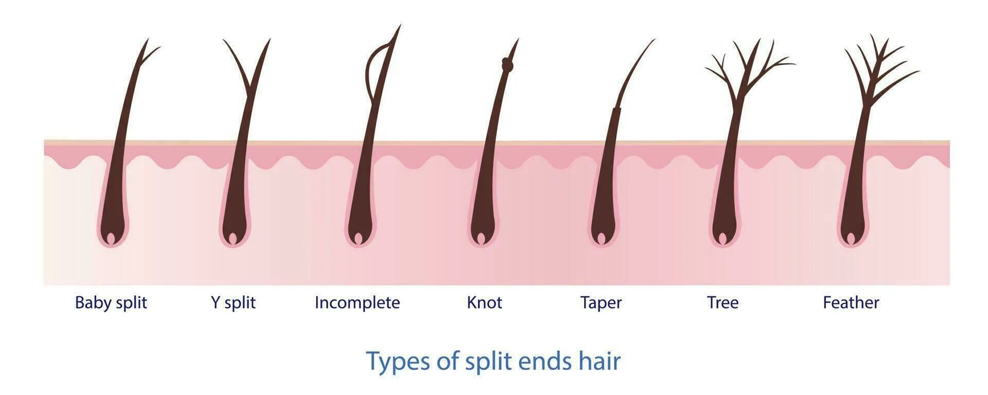 Request splitting