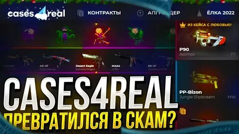 Cases 4