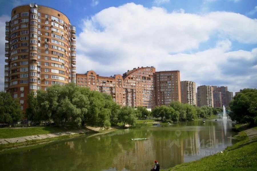 Химки фото