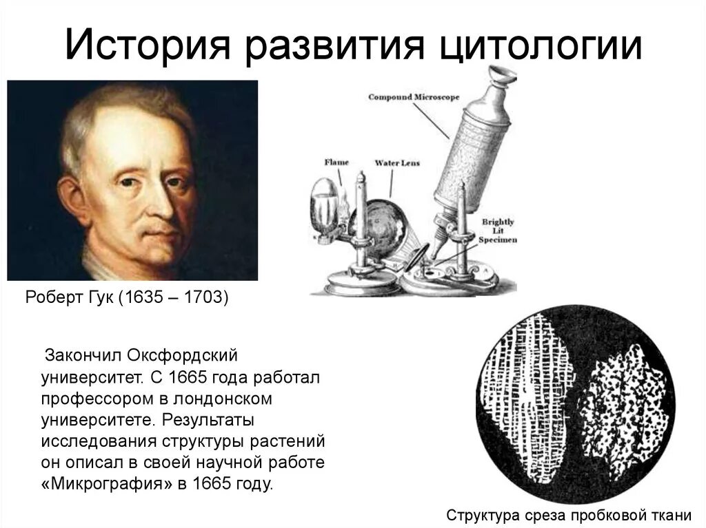 Предмет изучения цитологии