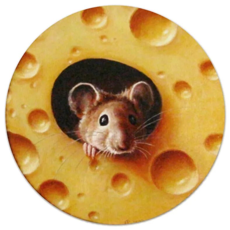 Копилка серебряная мышка. Коврик для мышки круглый. Копилка в виде мыши. Круглая мышка. Мышь в круге.