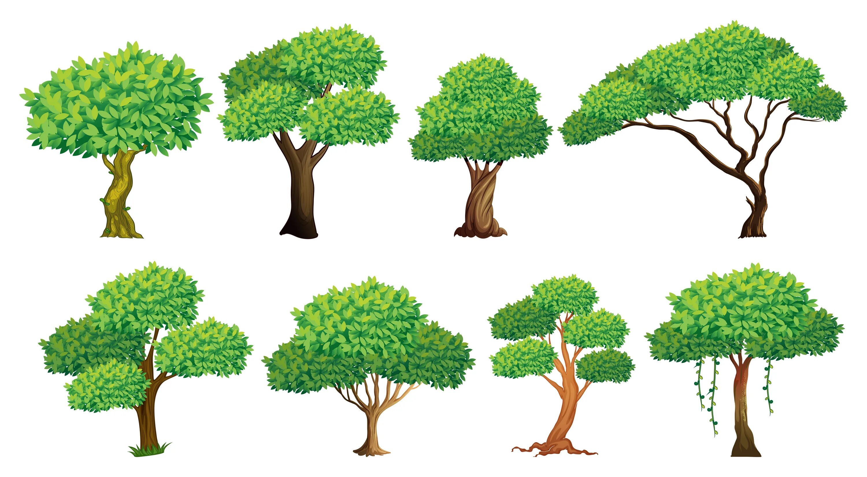 How many trees are there