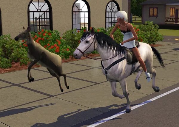Игры симс животных. Sims 3 лошади. sims 4 лошади. симс 3 питомцы. sims 3 питомцы конюшня.