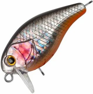Tsuyoki chef 38f