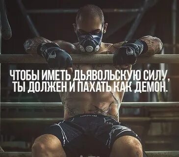 Пашу цитаты