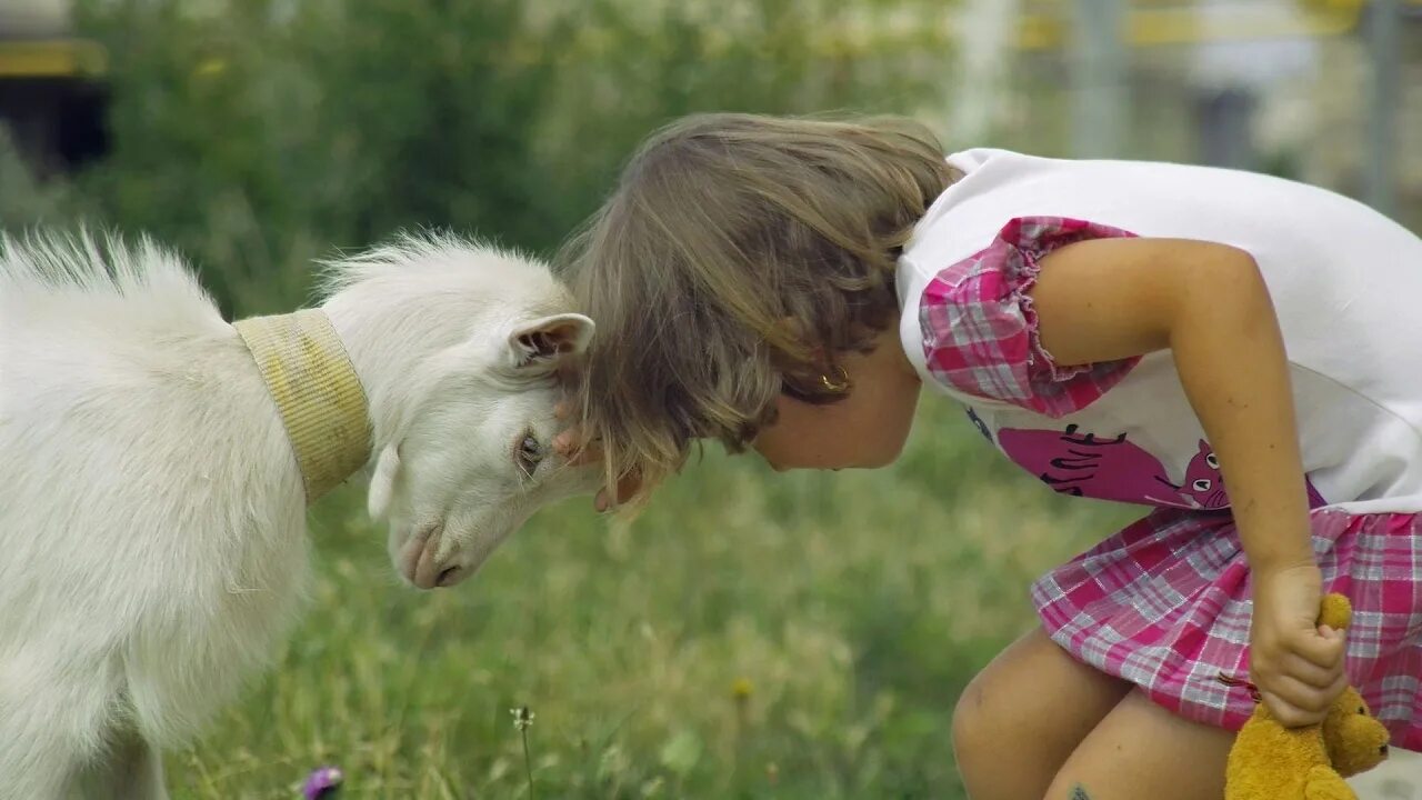 Смешные про детей животных
