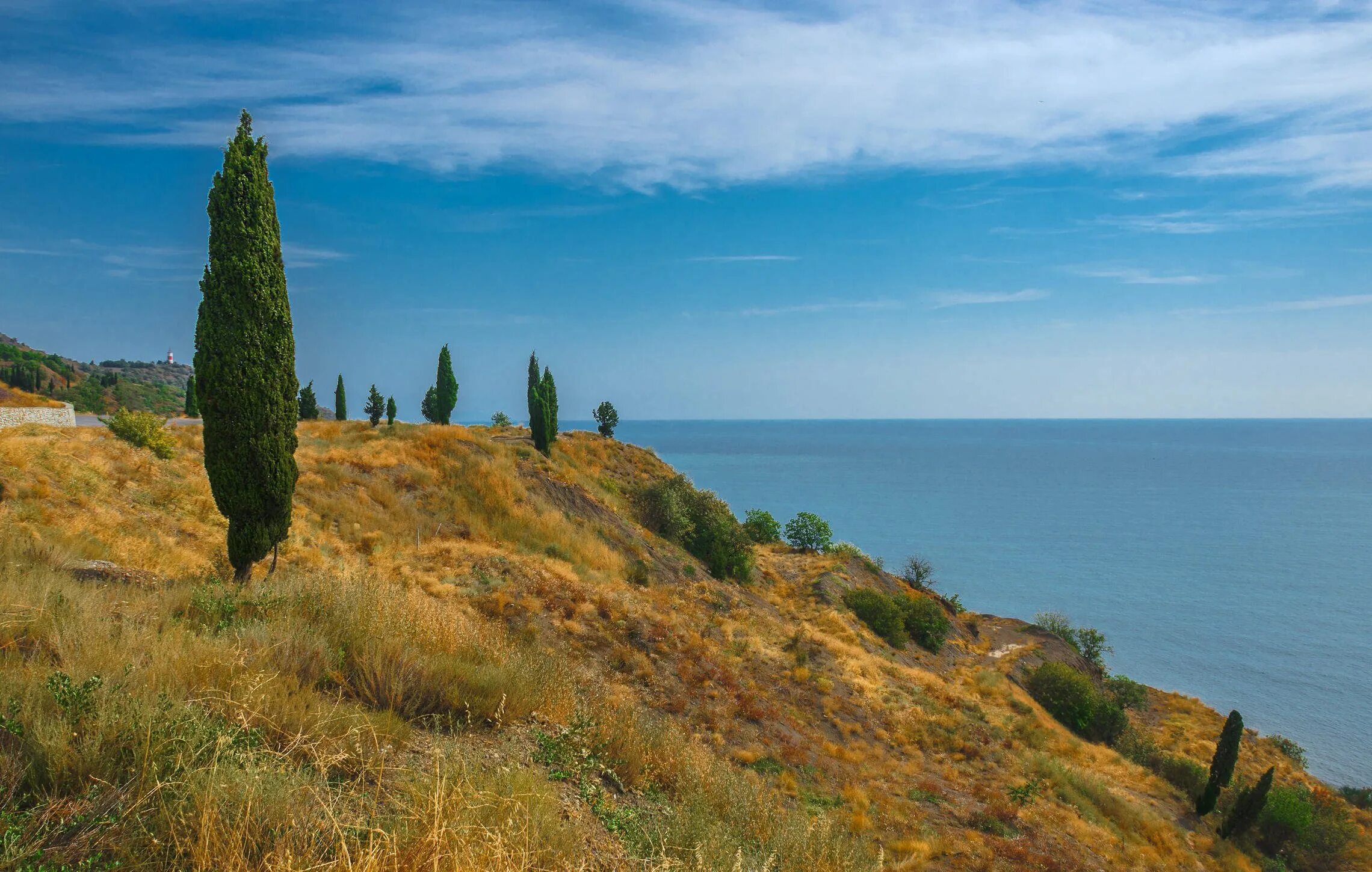 Участок юбк. Кипарисы в Крыму. Кипарис Черноморское Крым. Кипарис черное море. Ялта Крым кипарисы море горы.