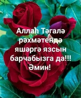Хэерле иртэлэр яңа картинкалар мусульманские на татарском
