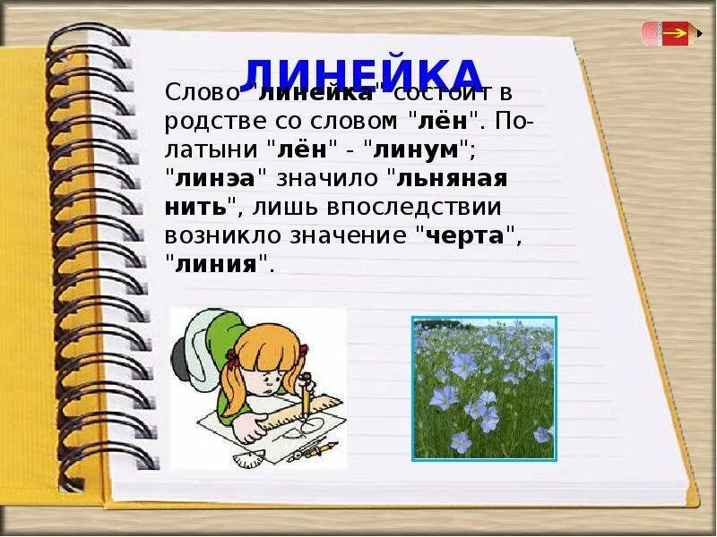 Значение слова школа. Значение школьных слов. Проект из жизни школьных слов. Слова из школьной жизни. Слова на школьную линейку.