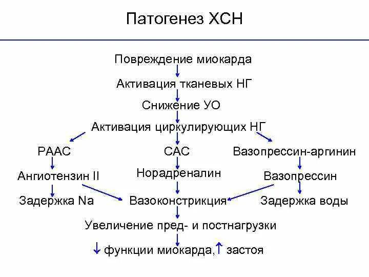 Механизм развития хронической сердечной недостаточности. Патогенез развития сердечной недостаточности. Схема патогенеза сердечной недостаточности. Патогенез хронической сердечной недостаточности. Сердечная недостаточность схема