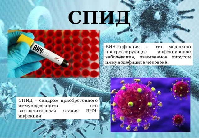 ВИЧ биология 10 класс. СПИД биология 10 класс. Заблуждения о вирусах биология. Лабораторная работа по биологии спид и гепатит