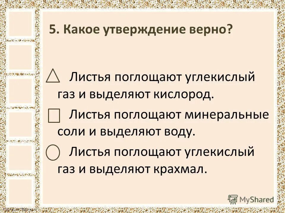 Какие утверждения верны сухая кожа отсутствие. Какое утверждение верно. Какое утверждение верное листья поглощают углекислый ГАЗ И выделяют. Листья поглощают углекислый ГАЗ И выделяют кислород верно. Кислород верные утверждения.