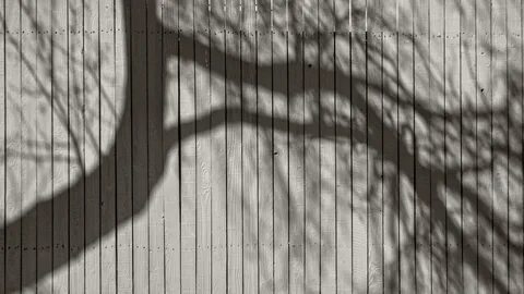 Lining shadow