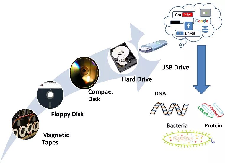 Device order. Data Storage devices. Types of Storage devices. Memory devices. Evolution of Memory Storage.