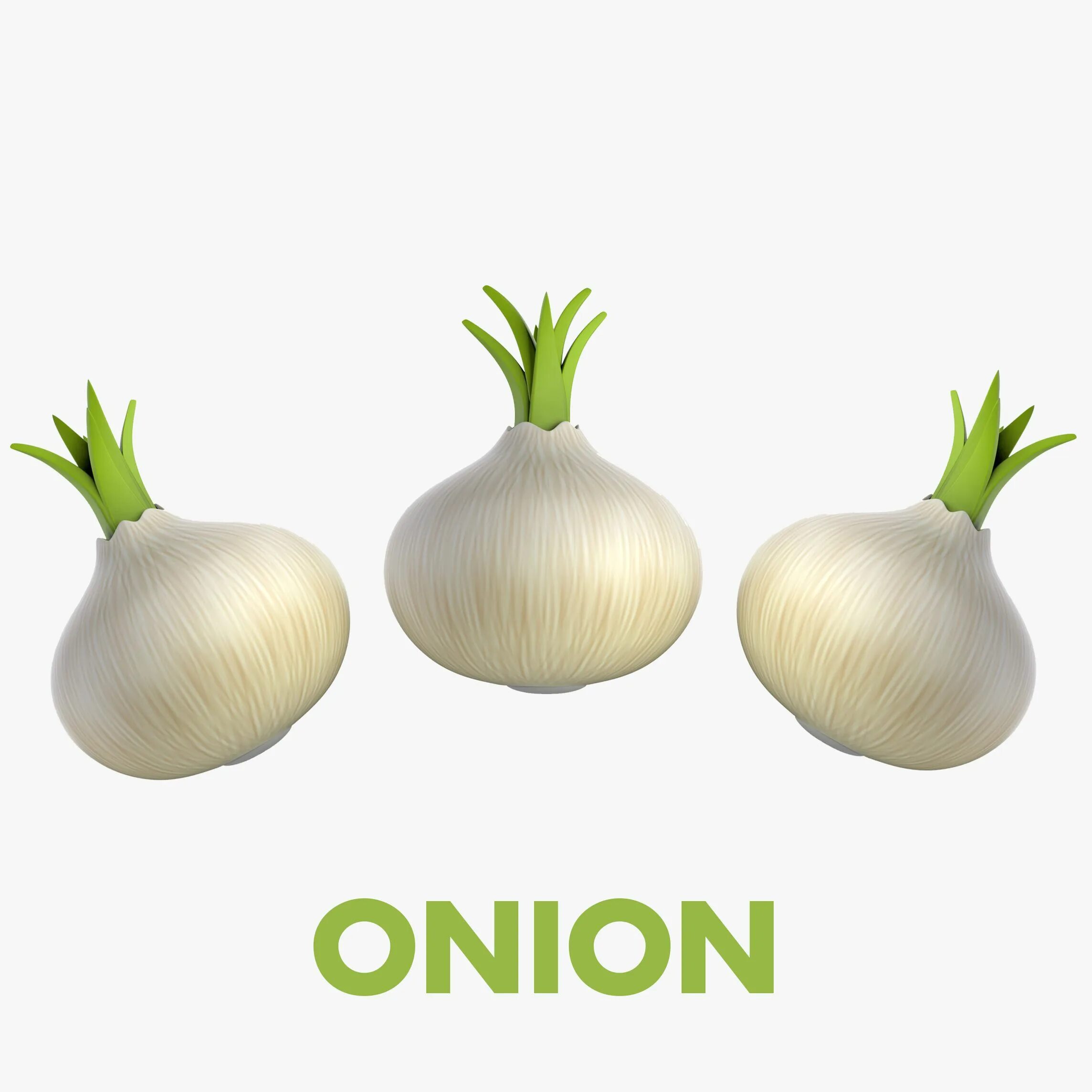 Onion models. Модель луковицы. открытый урок на тему onions.