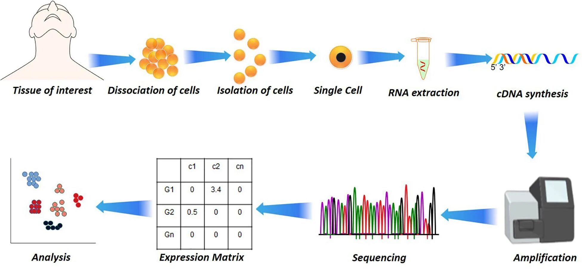 Single Cell Analysis. Проточная ячейка sequencing Flow Cell. Singlecell метод в науке.