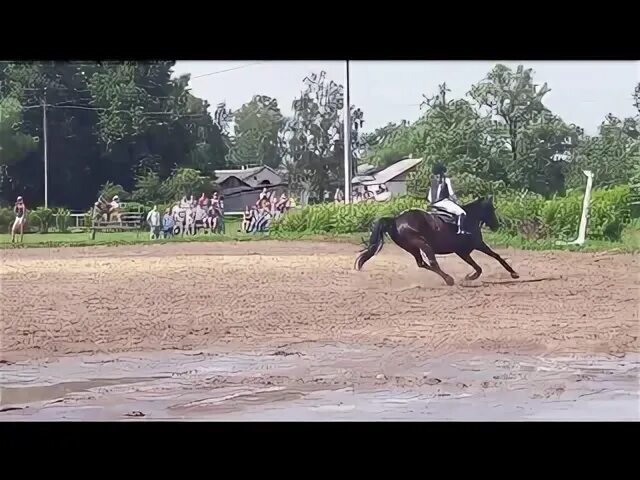 Страна чудес кск