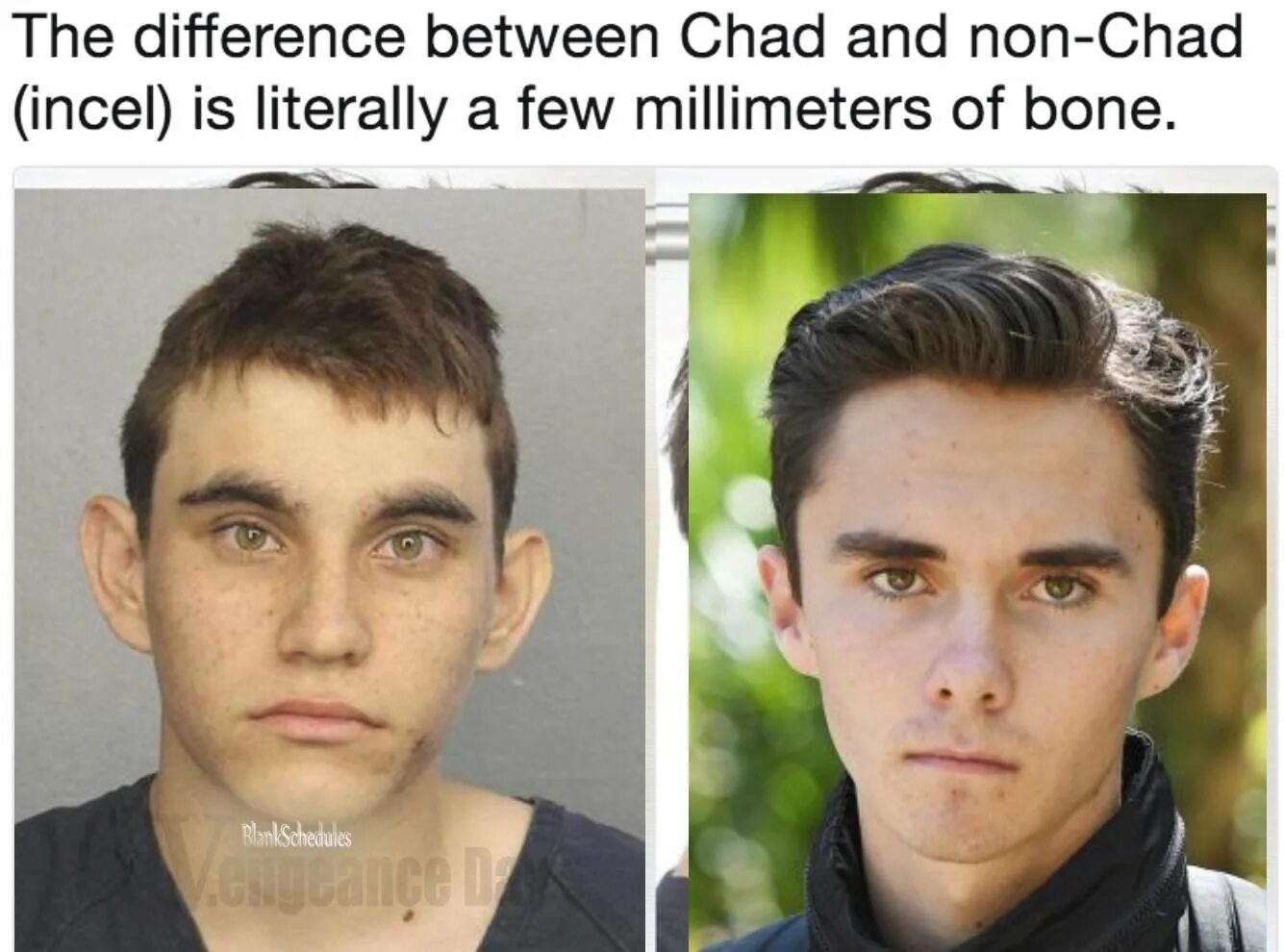 Инцелы форум. Chad incel. chad slayer incel. инцелы внешность. инцелы подбородок.