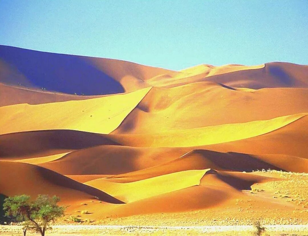 африка сахара. нубийская пустыня. пустыня сахара. африка пустыня сахара. Sahara desert 300 600.