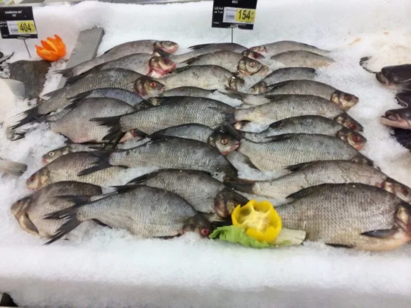Рынок живая рыба. Живая рыба Красноярск. База живой рыбы. Рыба Живая в шубе. Живая рыба на рынке.