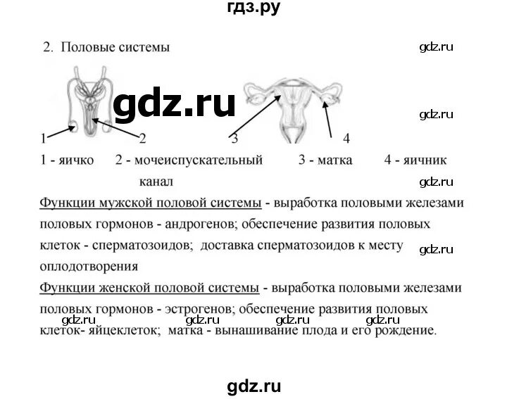 Биология 5 класс параграф 16 17 18