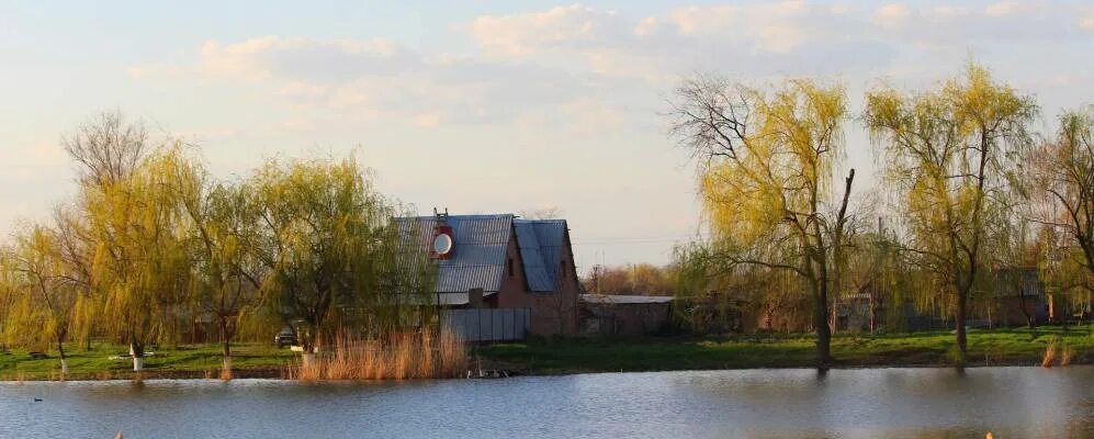 Хутор ея Краснодарский край. Хутор Новопокровский район Краснодарский край. Новопокровская природа. Хутор северный краснодарский край