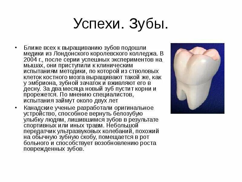 Растить зубы. Зубы человека.