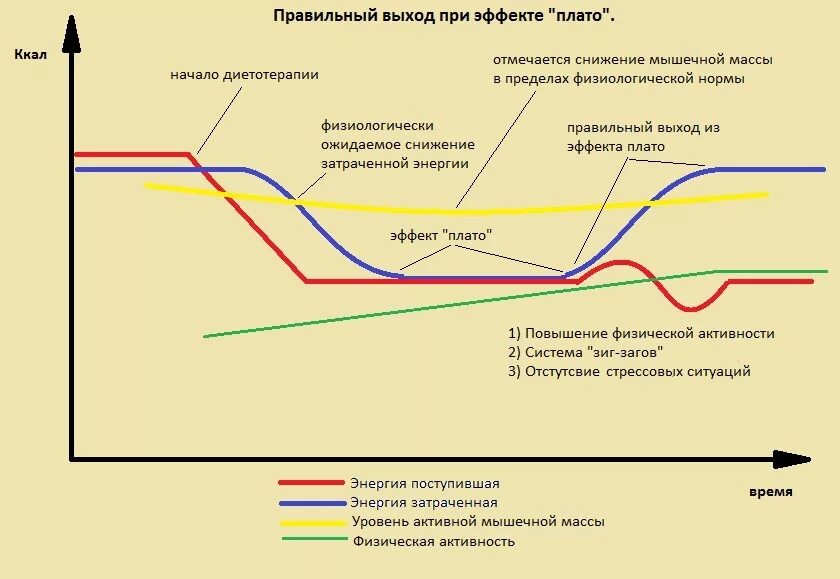 Плато в похудении. Плато в снижении веса. Эффект плато при похудении. Плато веса при похудении.