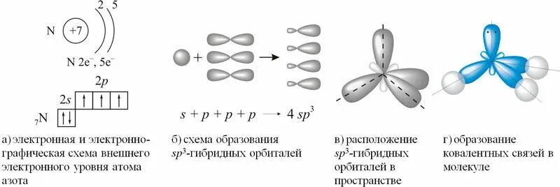 Схема образования ковалентной связи аммиака. Схема образования химической связи в молекуле аммиака. Схема образования молекулы аммиака. Схема образования ковалентных связей в молекуле аммиака.