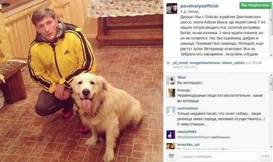 Кот павла воли. Собака ляйсан утяшевой мальтипу. Собака у ляйсан утяшевой порода. Собака павла воли порода. Стрижка павел воля лохматые.