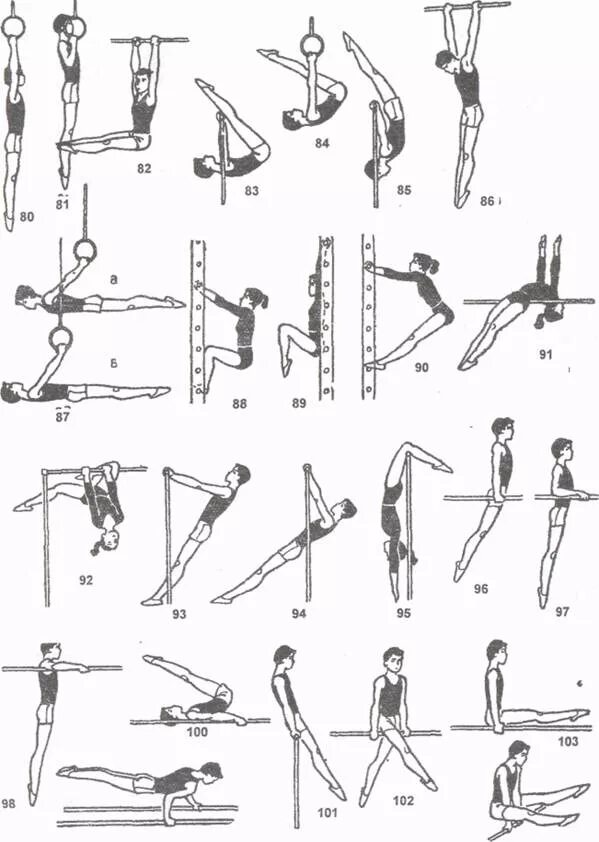 Как называется гимнастические упражнения. Гимнастика терминология гимнастических упражнений. Упражнения на снарядах в гимнастике. Гимнастическая терминология ору стойки. Название снарядов гимнастических упражнений.
