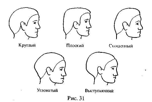 Варианты формы черепа. Формы головы человека сбоку. Форма черепа человека сбоку. Форма черепа человека затылок угловатый. Форма черепа человека затылок характер.