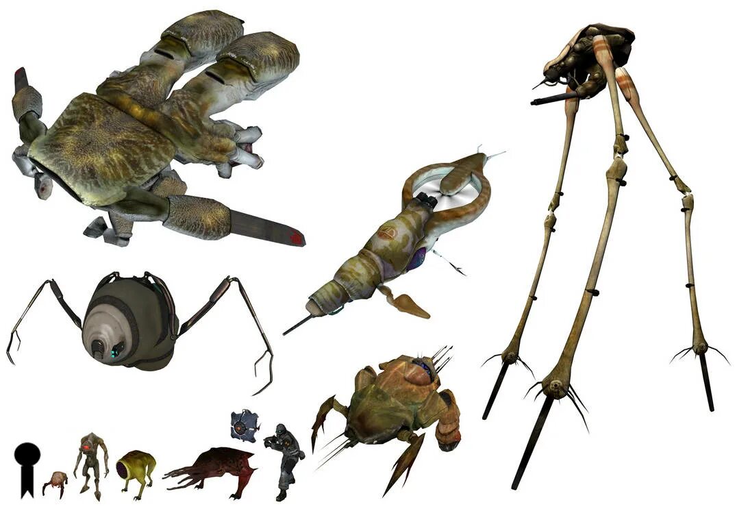 Львиный муравей half life 2. Half life 2 синтеты. Half life 2 враги. Half life 2 враги. Half life 2 страж муравьиных львов.