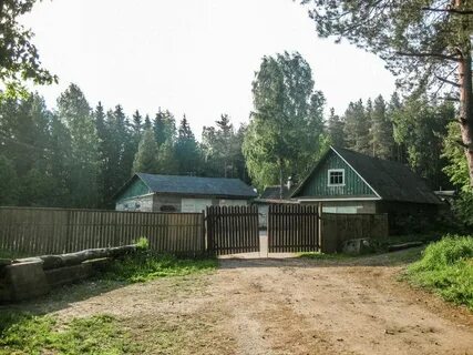 Сиверская лесничество 511