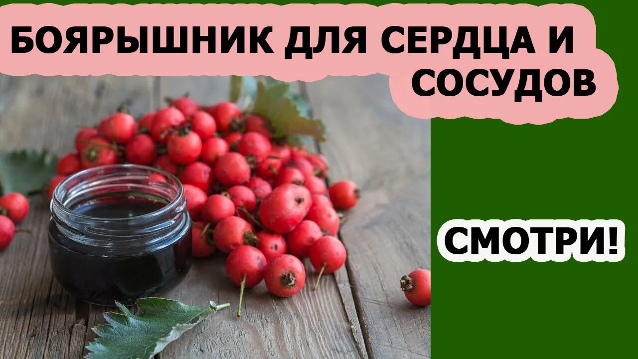 Боярышник снижает. Боярышник для сердца. боярышник понижает давление. боярка от давления. боярышник понижение давления.