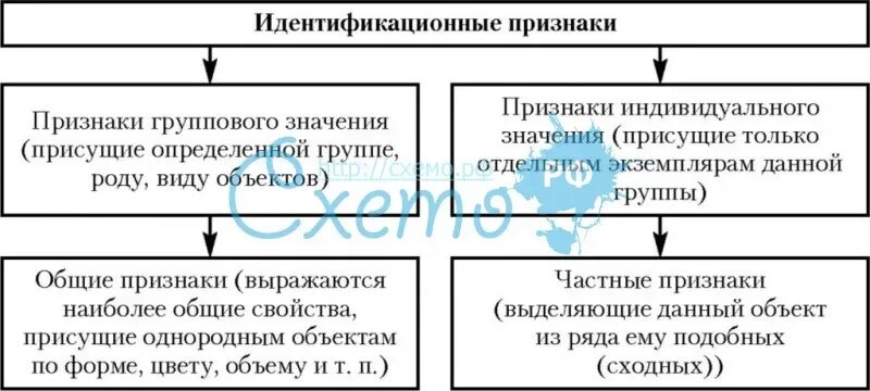 Общие и частные признаки объекта. Идентификационные признаки. Классификация идентификационных признаков. Идентификационные признаки внешности. Идентификационные признаки продукции это.