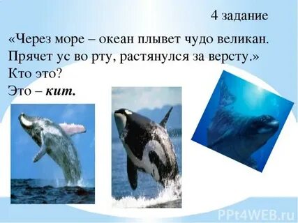 Через какой океан плыл