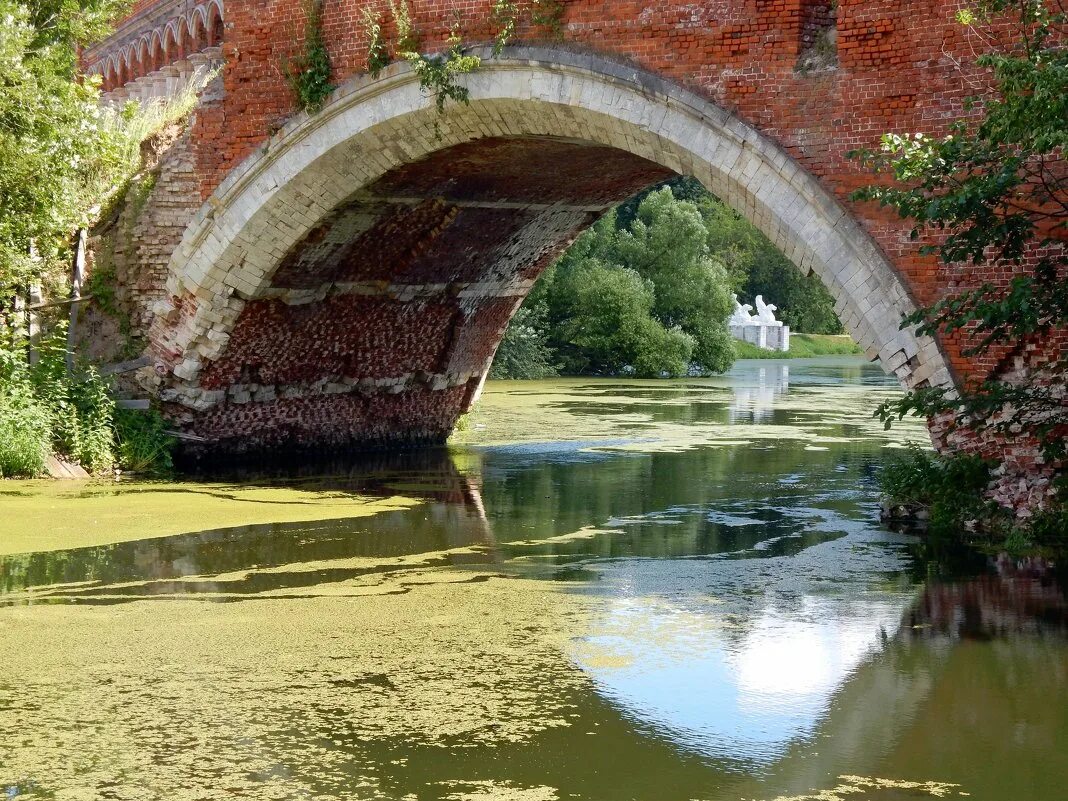 Усадьба марфино вологда. Пруды парк марфино. Марфино река. Река марфина. Псарни марфино.